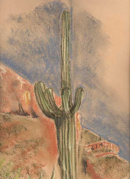 Cactus Organ Pipes National Park