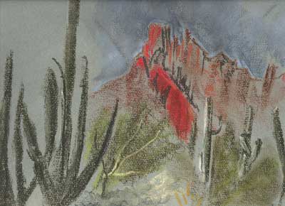 Organ Pipes National Park